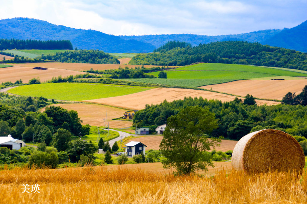 フランス人に聞いてみた シャンパーニュ アルデンヌの田舎と北海道の美瑛の田舎風景は本当にそっくりなの フランス シャンパーニュ田舎暮らし